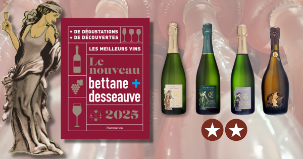 Le Nouveau Bettane + Desseauve 2025