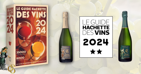 Guide Hachette des Vins 2024