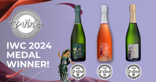 International Wine Challenge 2024
