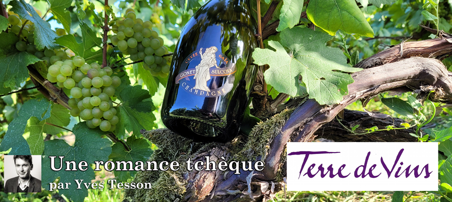 Terre de Vins - Article de Yves Tesson